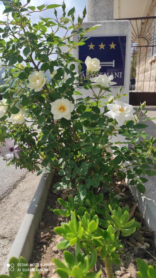 Apartmani Andric 斯拉诺 外观 照片